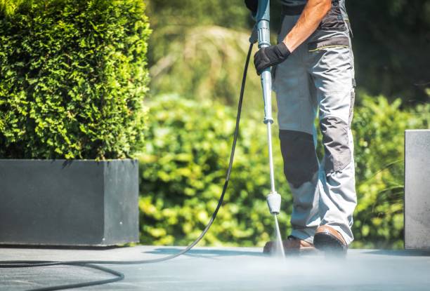 Best Boat and Dock Cleaning  in Bloomington, TX