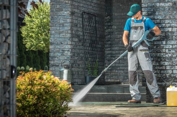 Best Soft Washing  in Bloomington, TX